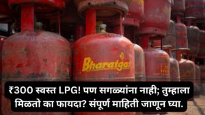 Commercial LPG cylinders